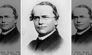 Gregor Mendel: corpo do "pai da genética" passa por teste de DNA; saiba o porquê