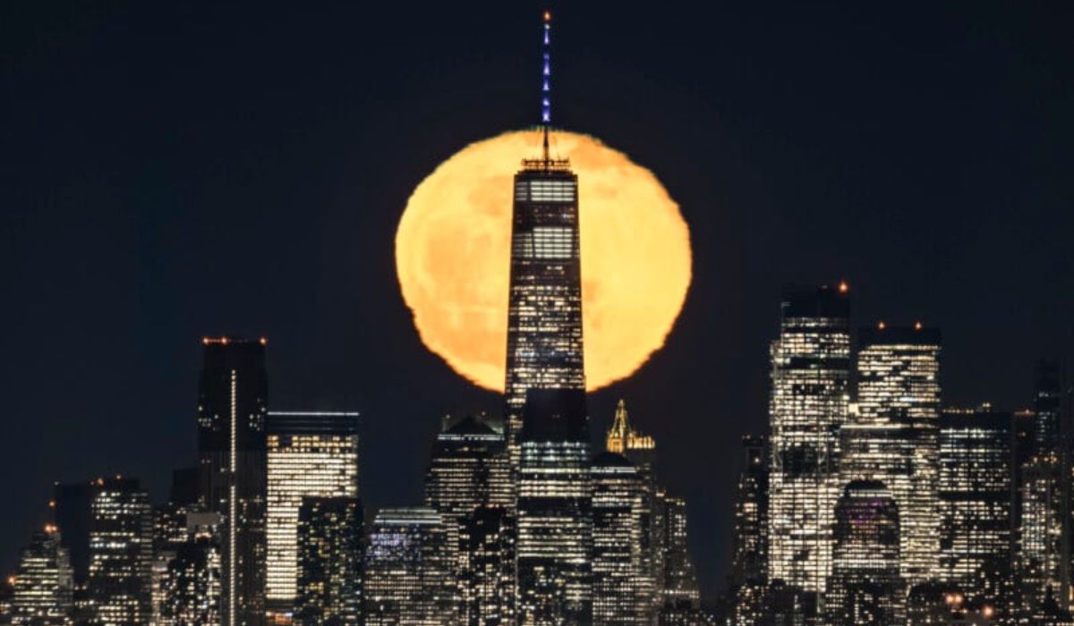 lua gigante nyc