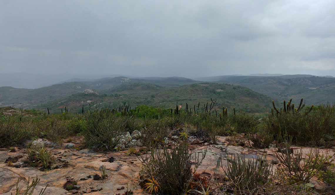 Alto do planalto da Borborema, na Paraíba, com solos atípicos do semiárido brasileiro, que abrigam espécies indicativas de antigos corredores ecológicos entre a Amazônia e a Mata Atlântica