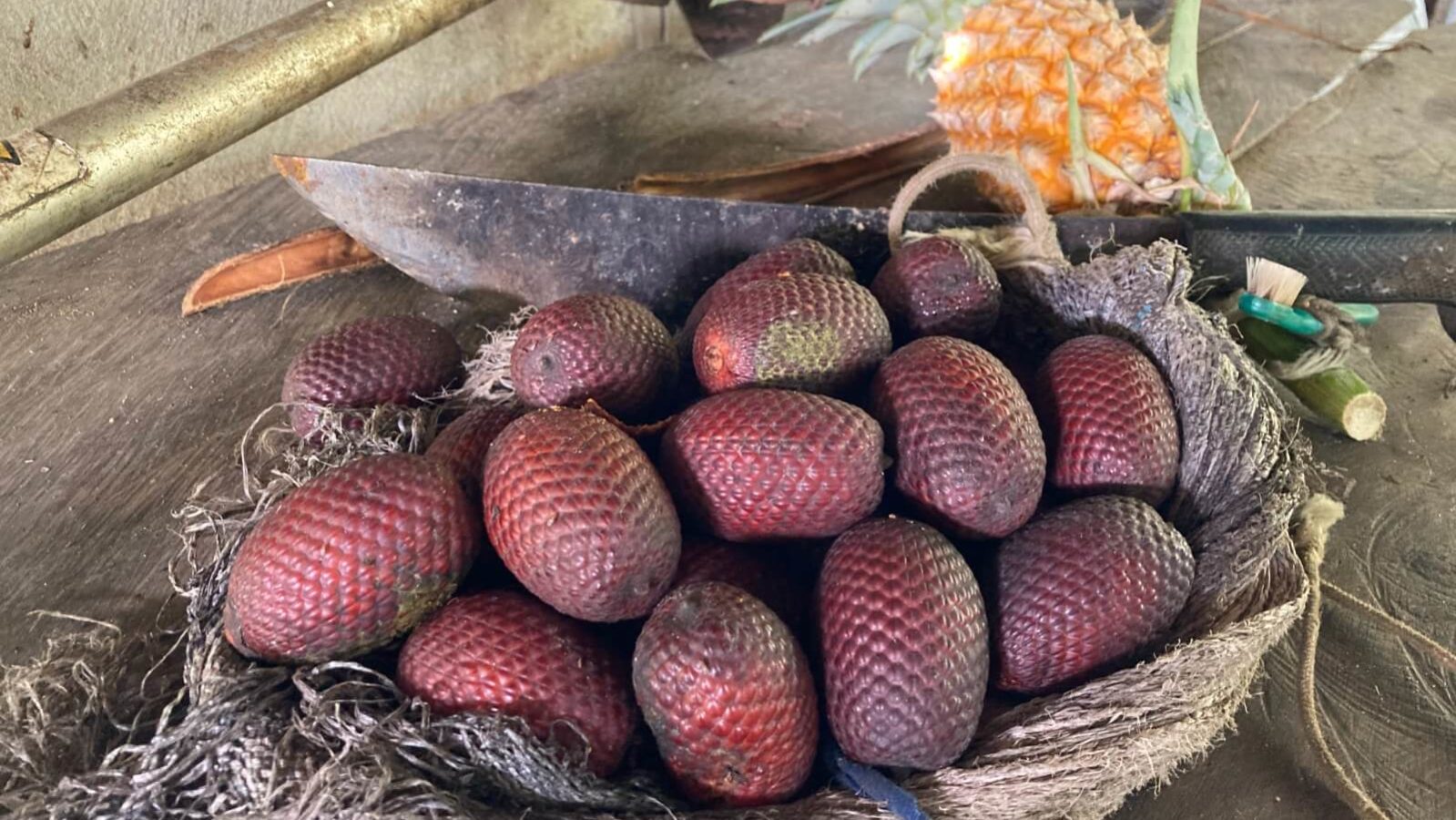 Conhecimento sobre frutas amazônicas pode ajudar a combater desnutrição e a manter a floresta em pé