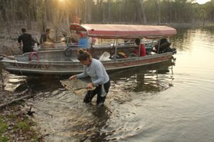 Capítulo 2: No Jauaperi, peixe-elétrico misterioso segue sem ser encontrado por pesquisadores