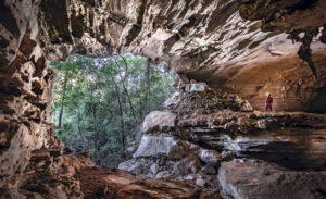 Área no norte de Minas Gerais está no período mais seco dos últimos sete séculos