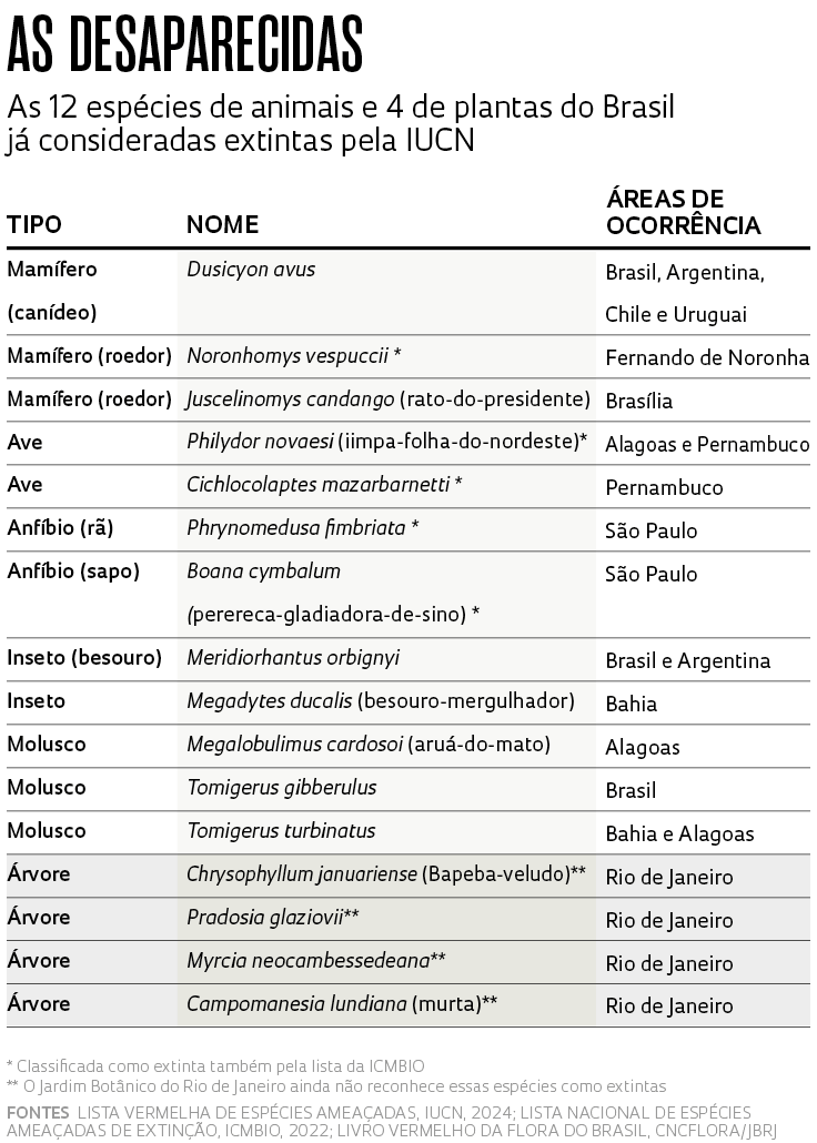 Alexandre Affonso/Revista Pesquisa FAPESP