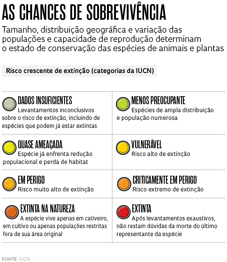 Alexandre Affonso/Revista Pesquisa FAPESP