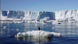 Cientistas revelaram data para derretimento de todo gelo da Antártida